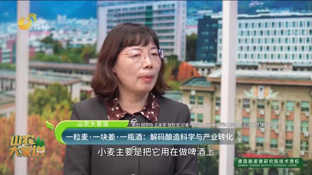 【山农大家说】一粒麦·一块姜·一瓶酒：解码酿造科学与产业转化