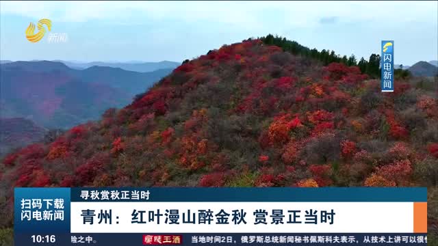 【寻秋赏秋正当时】青州：红叶漫山醉金秋 赏景正当时