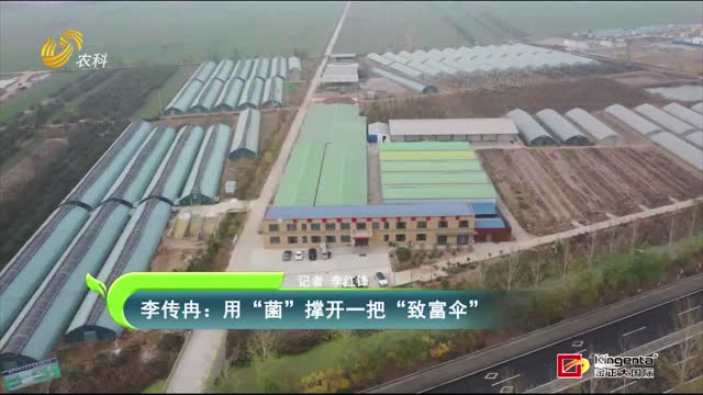 李傳冉：用“菌”撐開一把“致富傘”