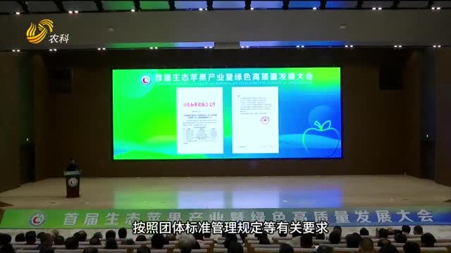 【聚焦生態(tài)蘋果產(chǎn)業(yè)暨綠色高質(zhì)量發(fā)展大會】產(chǎn)業(yè)聚焦：“生態(tài)蘋果”揭開面紗