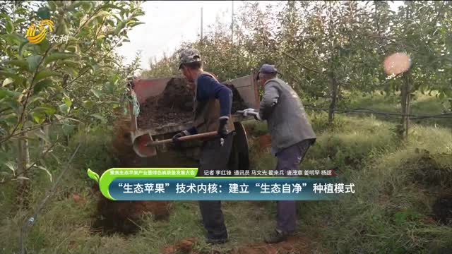 【聚焦生態(tài)蘋果產(chǎn)業(yè)暨綠色高質(zhì)量發(fā)展大會】“生態(tài)蘋果”技術(shù)內(nèi)核：建立“生態(tài)自凈”的種植模式