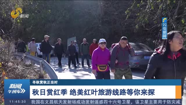 【寻秋赏秋正当时】秋日赏红季 绝美红叶旅游线路等你来探