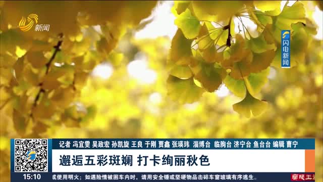 邂逅五彩斑斓 打卡绚丽秋色