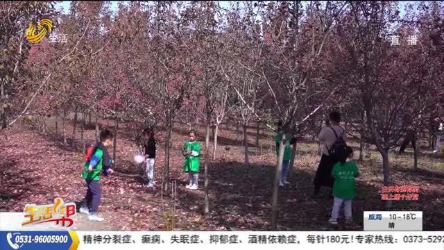 【乡村漫游计划】秋景醉游人 农旅融合绘就乡村振兴新图景