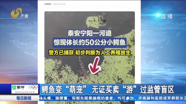 鳄鱼变“萌宠”无证买卖“游”过监管盲区