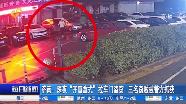 济南：深夜“开盲盒式”拉车门盗窃 三名窃贼被警方抓获