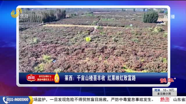 11月05日速览天下