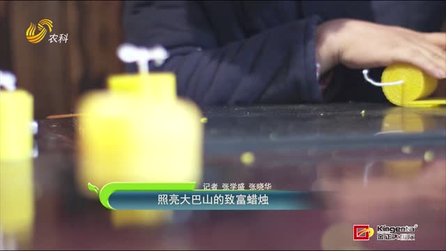 照亮大巴山的致富蜡烛