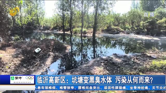 临沂高新区：坑塘变黑臭水体 污染从何而来?