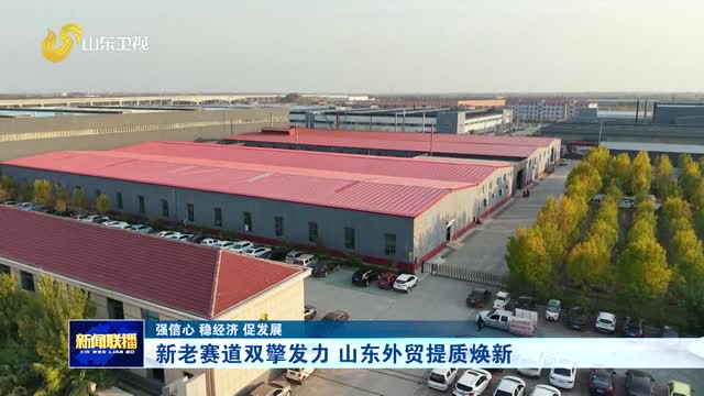 新老赛道双擎发力 山东外贸提质焕新【强信心 稳经济 促发展】