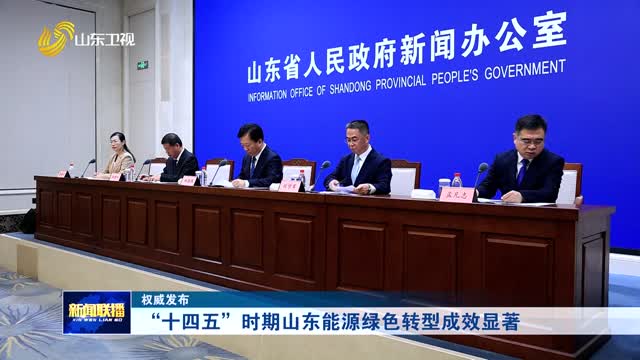 “十四五”时期山东能源绿色转型成效显著【权威发布】