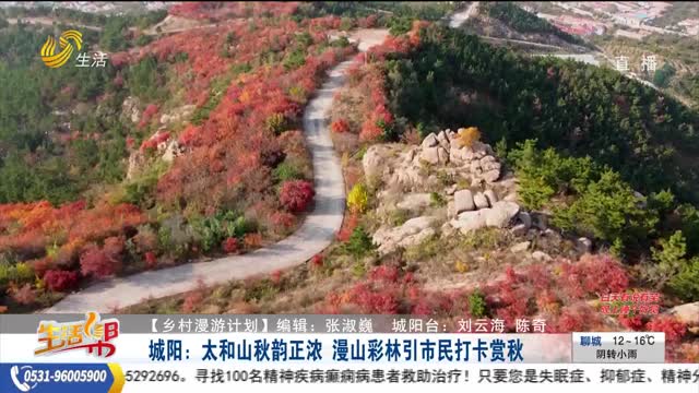 【乡村漫游计划】城阳：太和山秋韵正浓 漫山彩林引市民打卡赏秋
