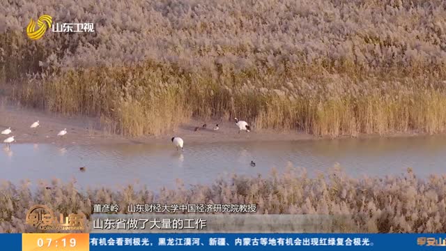 2025“沿着黄河遇见海”网络主题活动走进淄博