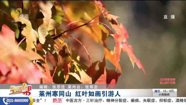 莱州寒同山 红叶如画引游人