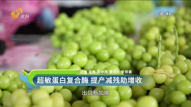 超敏蛋白复合酶 提产减残助增收