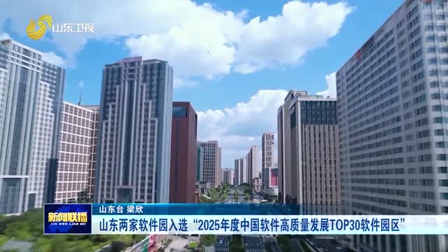 山东两家软件园入选“2025年度中国软件高质量发展TOP30软件园区”