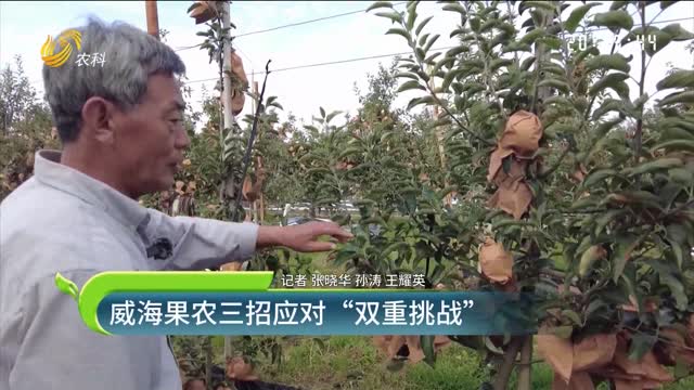 威海果農“三招”應對“雙重挑戰”
