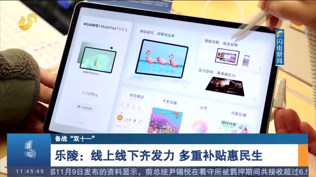 【备战“双十一”】乐陵：线上线下齐发力 多重补贴惠民生