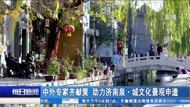 中外专家齐献策 助力济南泉·城文化景观申遗