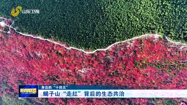 蝎子山“走紅”背后的生態共治【身邊的“十四五”】