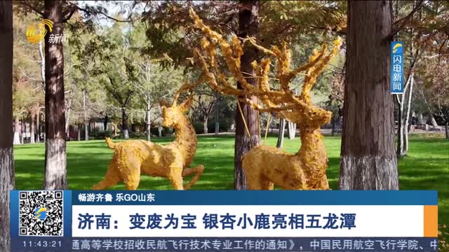 濟南：變廢為寶 銀杏小鹿亮相五龍?zhí)? /></a></dt>
			<dd><a  title=