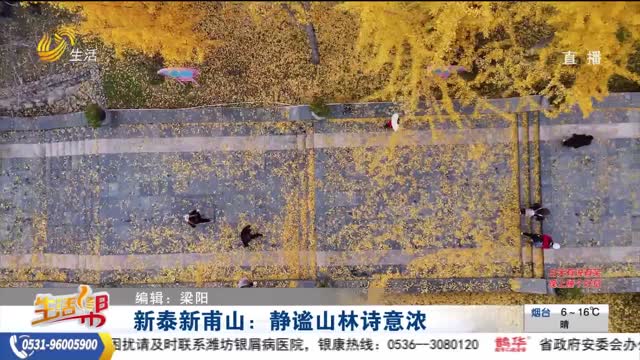 新泰新甫山：靜謐山林詩意濃