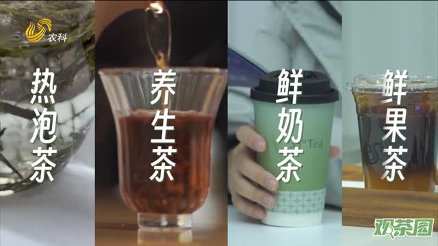 【观茶园】日照绿茶 专属35°的城市茶空间