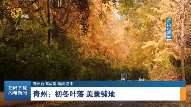 青州：初冬葉落 美景鋪地
