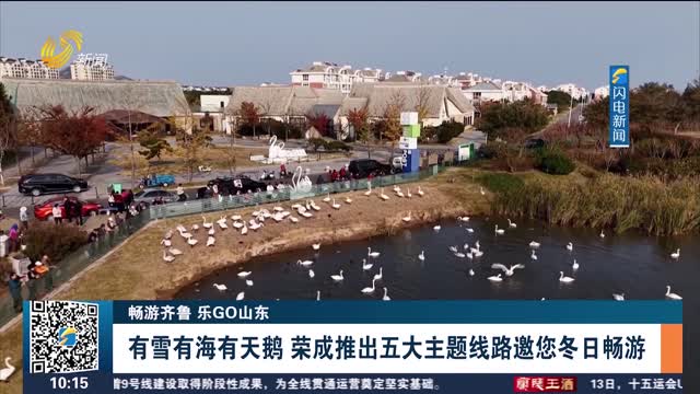 【畅游齐鲁 乐GO山东】有雪有海有天鹅 荣成推出五大主题线路邀您冬日畅游