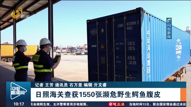 日照海關(guān)查獲1550張瀕危野生鱷魚腹皮