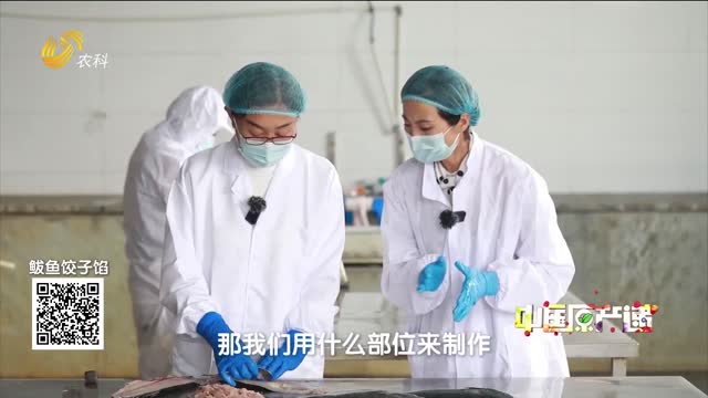 20251115《中国原产递》：鲅鱼饺子馅