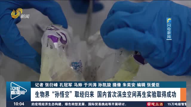 生物界“孫悟空”取經歸來 國內首次渦蟲空間再生實驗取得成功