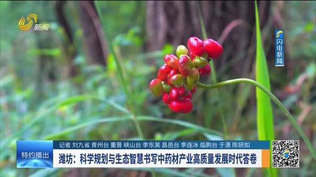 【抓落实 求突破 拼经济】潍坊：科学规划与生态智慧书写中药材产业高质量发展时代答卷