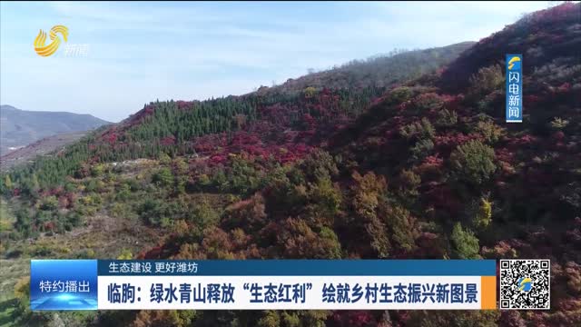 【生态建设 更好潍坊】临朐：绿水青山释放“生态红利” 绘就乡村生态振兴新图景
