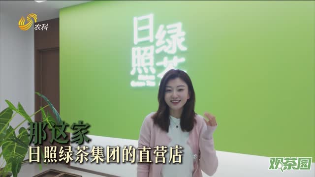 【觀茶園】海曲雨青：用一芽一葉訴說北緯35°的陽光故事