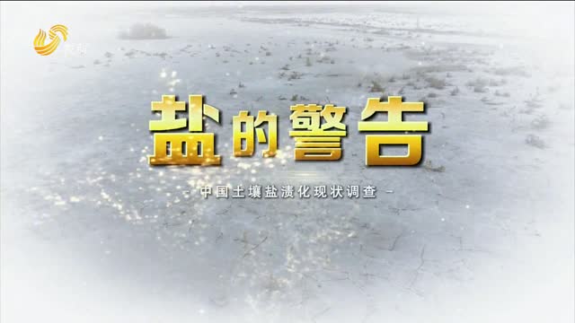 鹽的警告——中國土壤鹽漬化調查