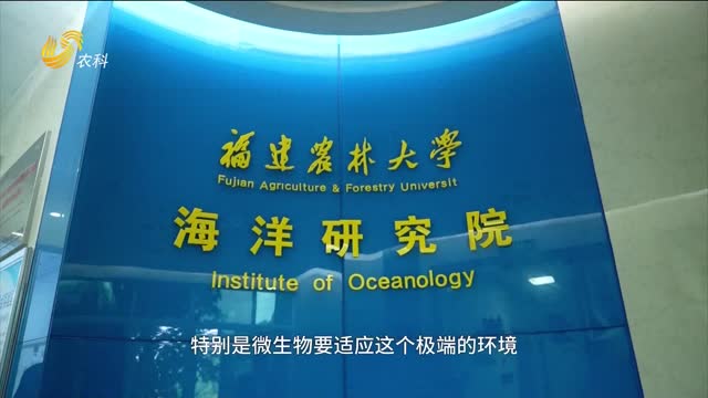 來自南極深海——雙剪抗鹽生根菌！