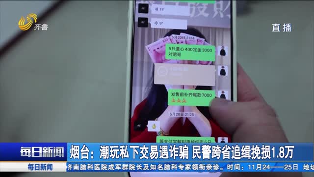 烟台：潮玩私下交易遇诈骗 民警跨省追缉挽损1.8万