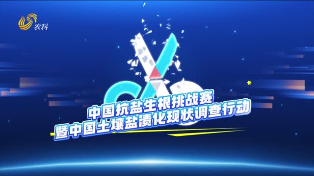 中國土壤鹽漬化“大體檢”“大比武”