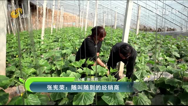 張憲榮：隨叫隨到的經銷商