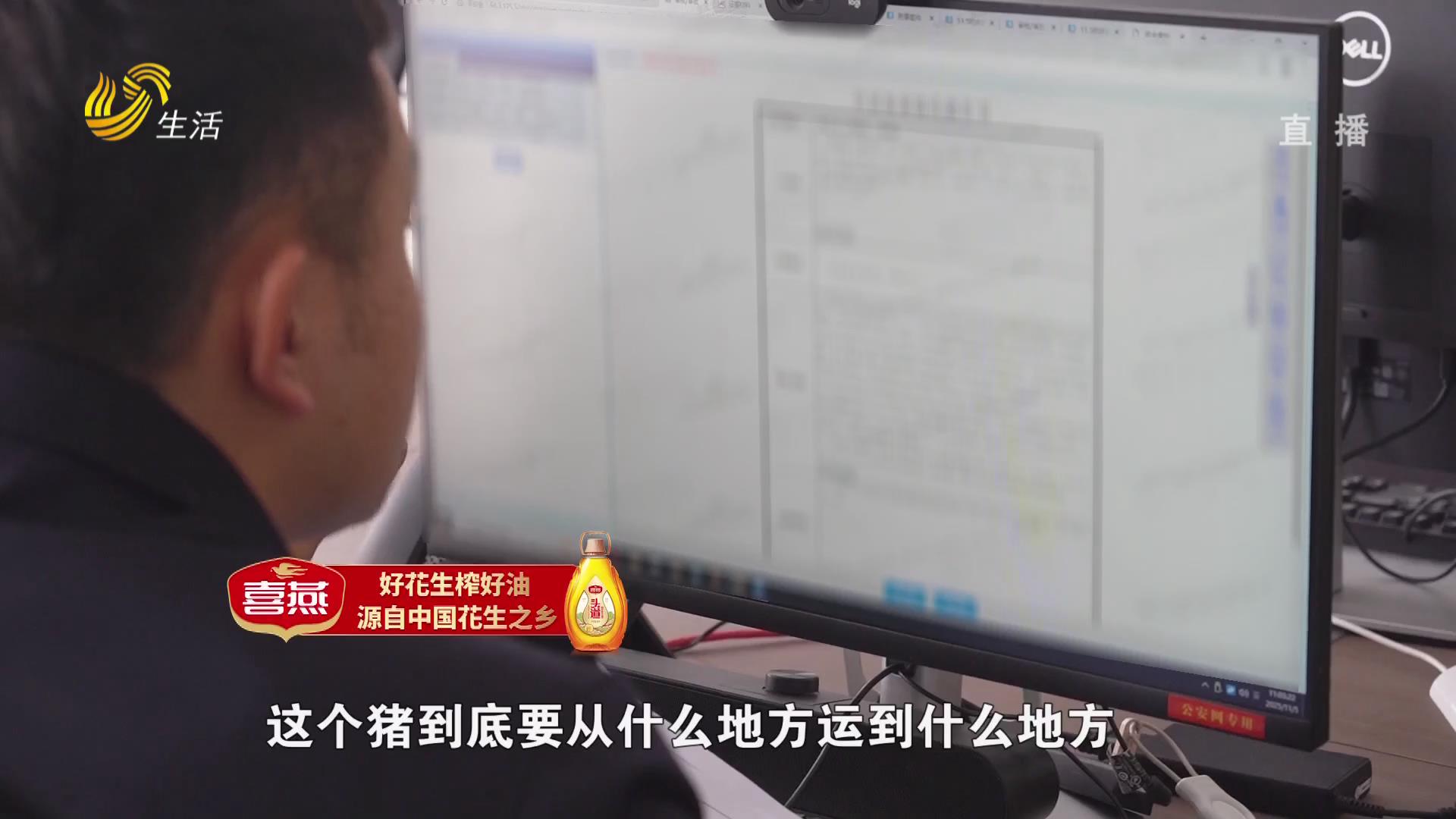 【幫辦出馬】16萬(wàn)元“投資款”秒變“生豬款” 男子陷入騙局