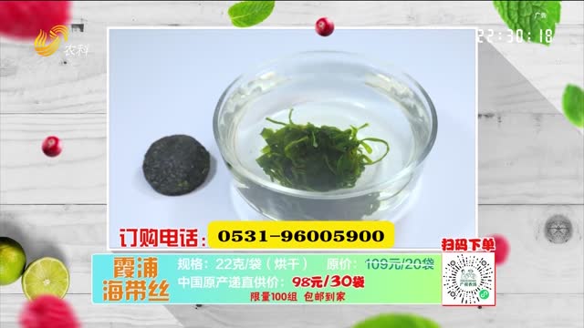 20251123《中国原产递》：海带丝