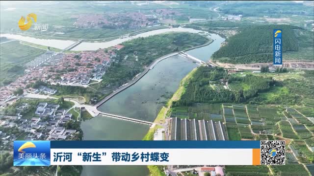 2025年11月24日《美丽山东》完整版