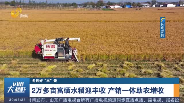 【冬日好“丰”景】2万多亩富硒水稻迎丰收 产销一体助农增收