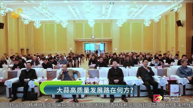 大蒜高质量发展路在何方？