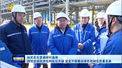 林武在东营调研时强调 持续促进经济结构优化升级 坚定不移推动绿色低碳高质量发展
