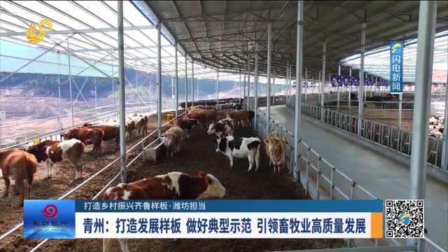 【打造乡村振兴齐鲁样板·潍坊担当】青州：打造发展样板 做好典型示范 引领畜牧业高质量发展