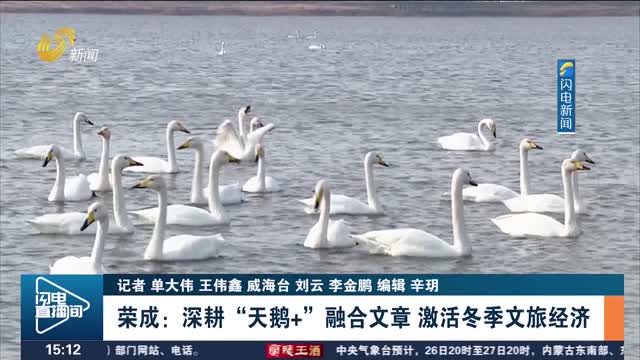 荣成：深耕“天鹅+”融合文章 激活冬季文旅经济