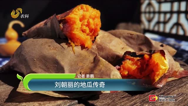 劉朝麗的地瓜傳奇