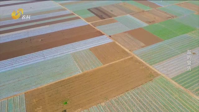 鹽的警告——中國土壤鹽漬化調(diào)查